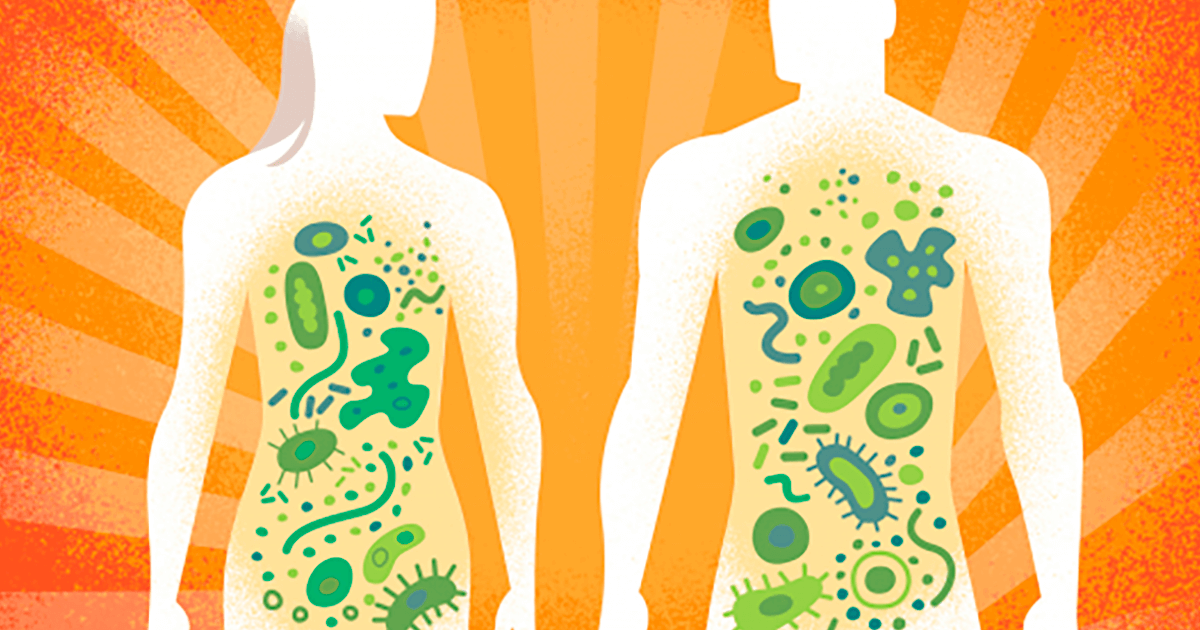 El Poder Invisible: Cómo los microorganismos influyen en nuestra Salud y Felicidad